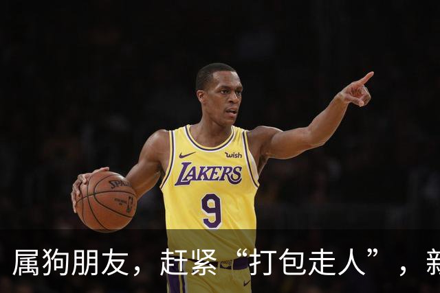 属狗朋友，赶紧“打包走人”，新天地在等你哦！